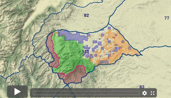 Wyoming Antelope - Unit 110 - Draw Odds, Tag Information and More