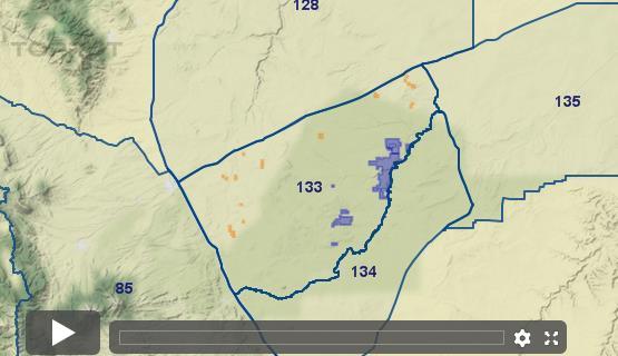 Colorado Elk - Unit 133 - Draw Odds, Tag Information And More