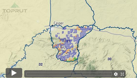 Wyoming Antelope - Unit 31 - Draw Odds, Tag Information and More