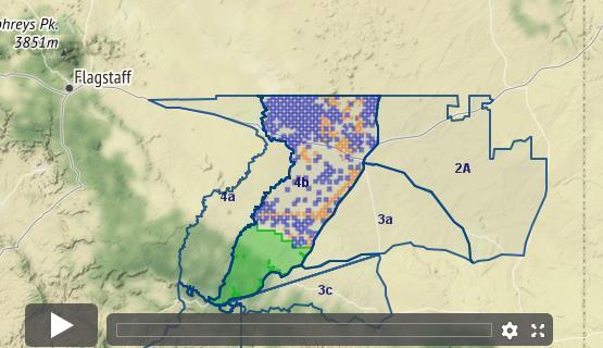 Arizona Elk - Unit 4b - Draw Odds, Tag Information And More