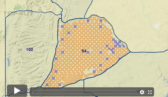 Wyoming Antelope - Unit 94 - Draw Odds, Tag Information and More